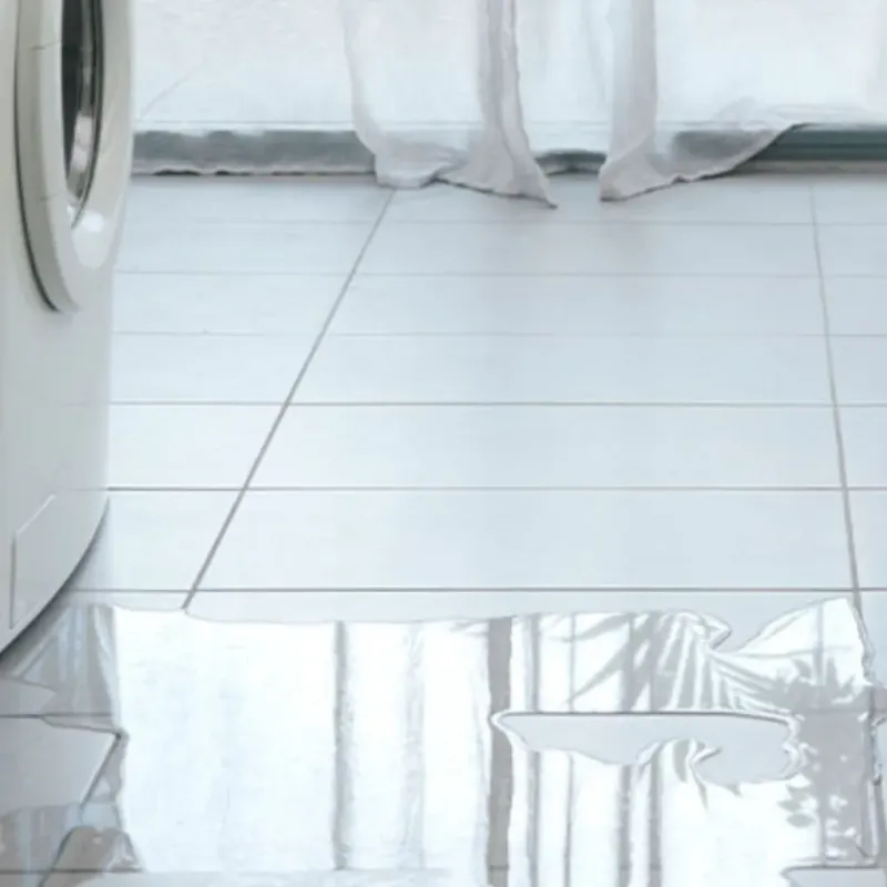 Appliance Leak Cleanup in North Sarasota, FL
