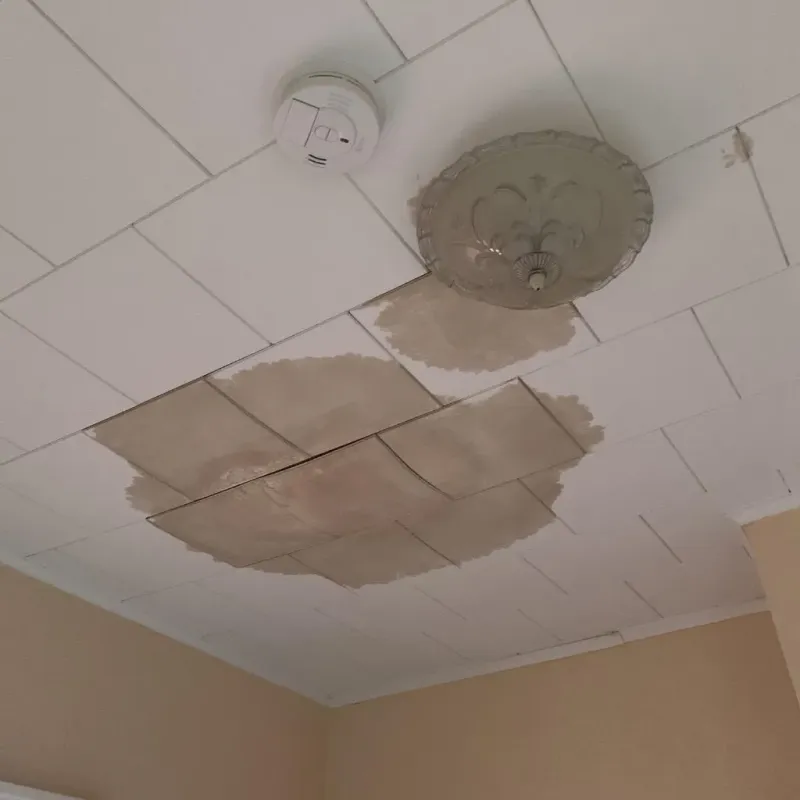 Ceiling Water Damage Repair in North Sarasota, FL