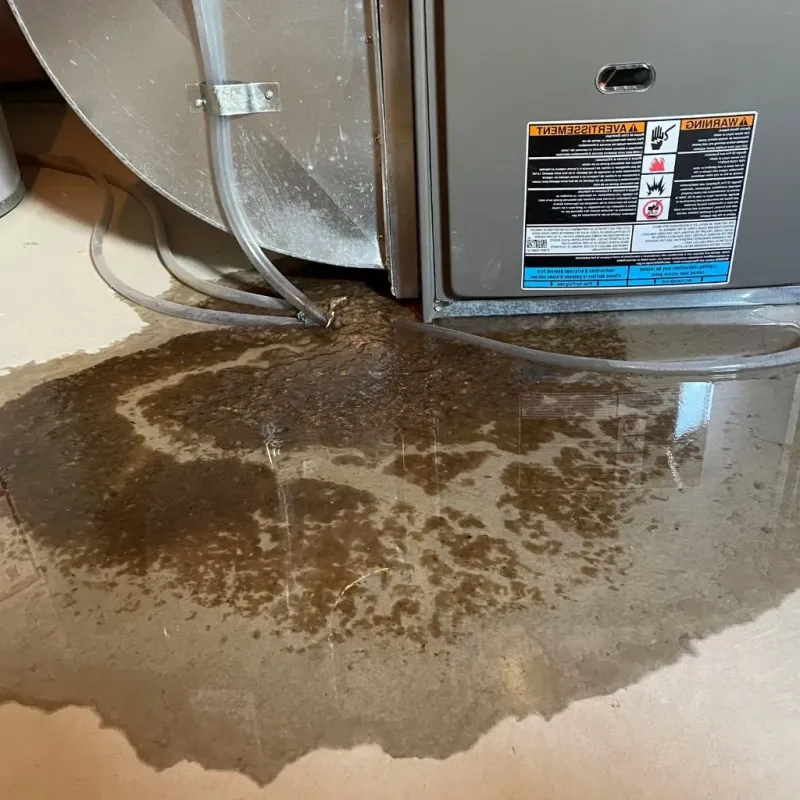 Pipe Burst and Leak Restoration in North Sarasota, FL